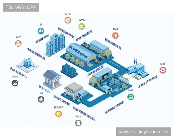 深度解析大浦足球身价变化及其背后多重市场走势与未来发展影响因素研究